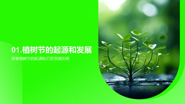 植树节：绿化生活