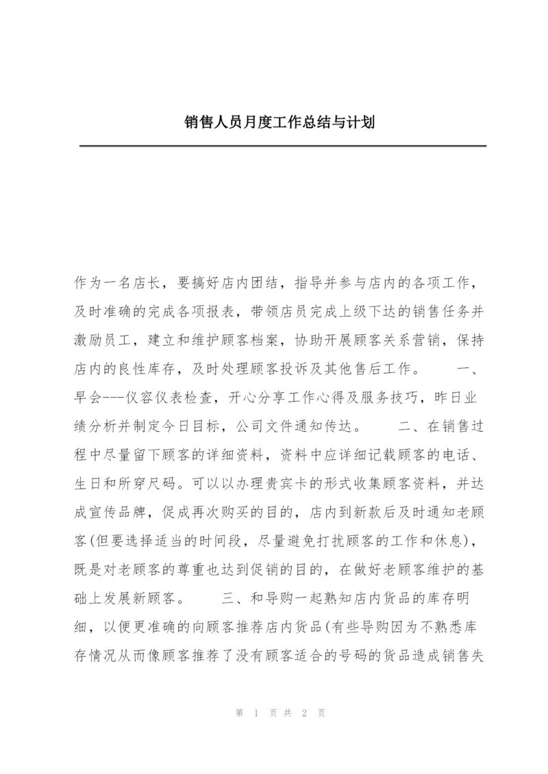 销售人员月度工作总结与计划.docx