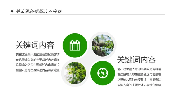 绿色生态森林湿地环境保护植树造林PPT模板