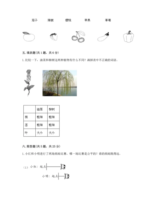 教科版科学一年级上册期末测试卷及答案参考.docx