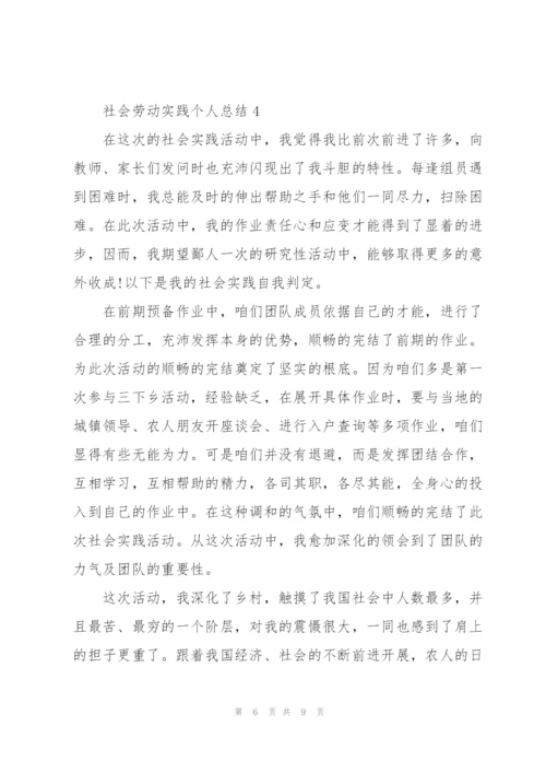 社会劳动实践个人总结5篇.docx