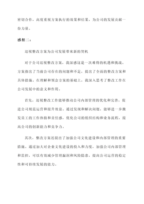 对公司巡视整改方案的感想