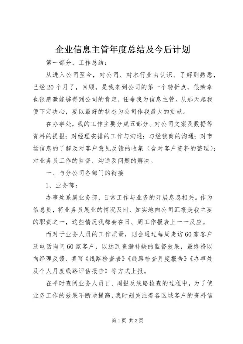 企业信息主管年度总结及今后计划.docx