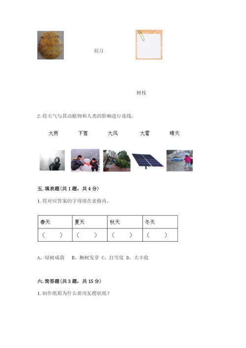 教科版科学二年级上册《期末测试卷》及完整答案【网校专用】.docx