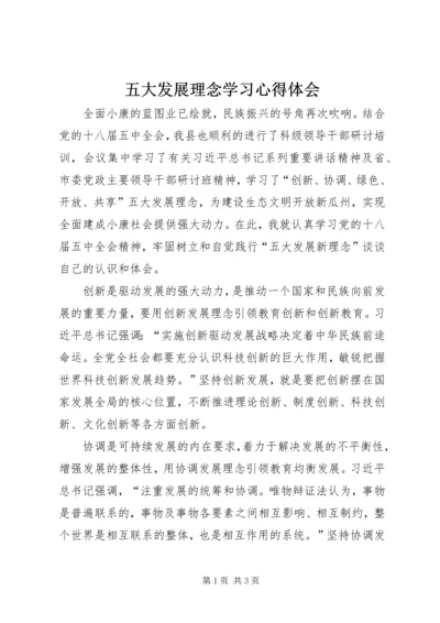 五大发展理念学习心得体会.docx