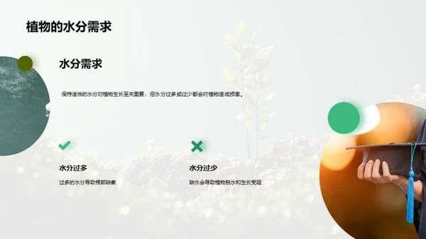 揭秘植物生长之谜