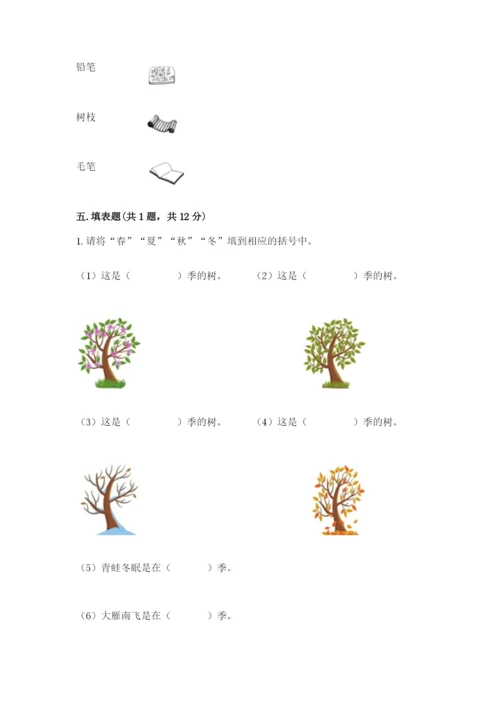 教科版小学二年级上册科学期末测试卷含答案（考试直接用）.docx