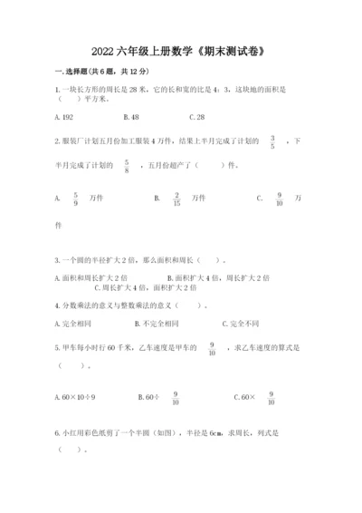 2022六年级上册数学《期末测试卷》审定版.docx