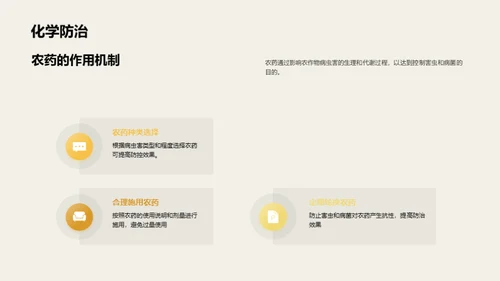 3D风教育培训教学课件PPT模板