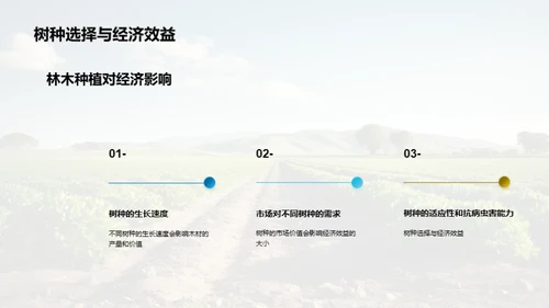 农林更新：投资与回报
