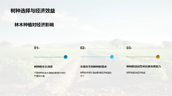 农林更新：投资与回报