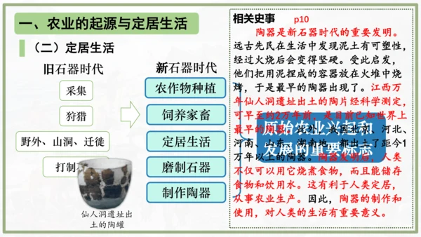 第2课 原始农业与史前社会 课件 统编版七年级历史上学期