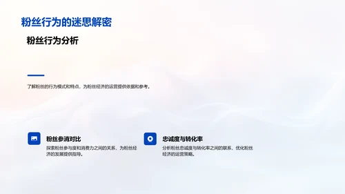 粉丝经济运营PPT模板