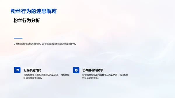 粉丝经济运营PPT模板