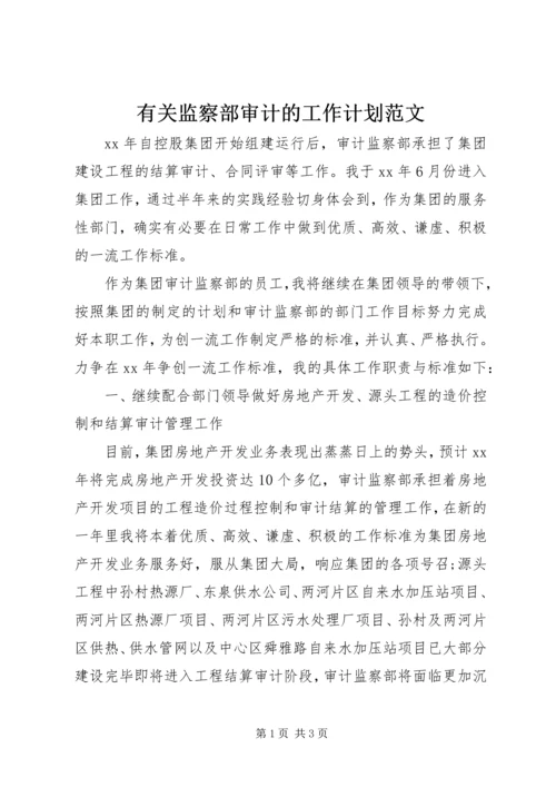 有关监察部审计的工作计划范文.docx