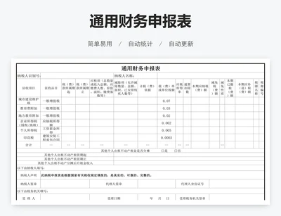 通用财务申报表