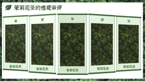 墨绿色中国风小清新茉莉花茶介绍PPT模板