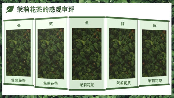 墨绿色中国风小清新茉莉花茶介绍PPT模板