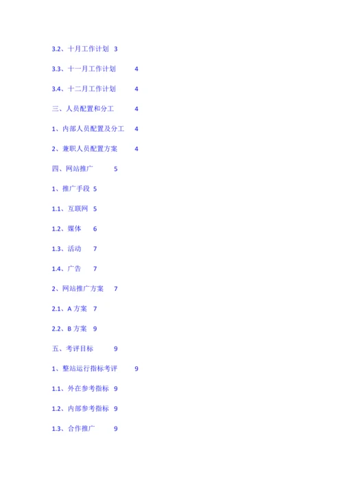 网站推广专题计划及专项方案.docx