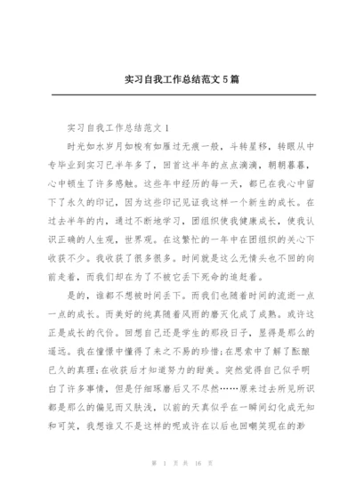 实习自我工作总结范文5篇.docx