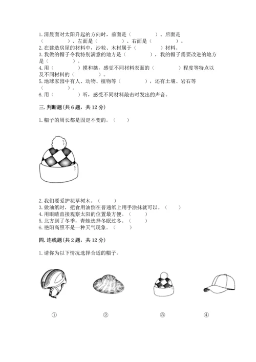 教科版二年级上册科学期末测试卷【能力提升】.docx