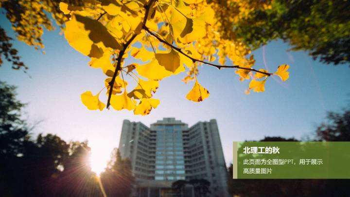 绿色简约北京理工大学专属学术汇报毕业答辩通用PPT模板