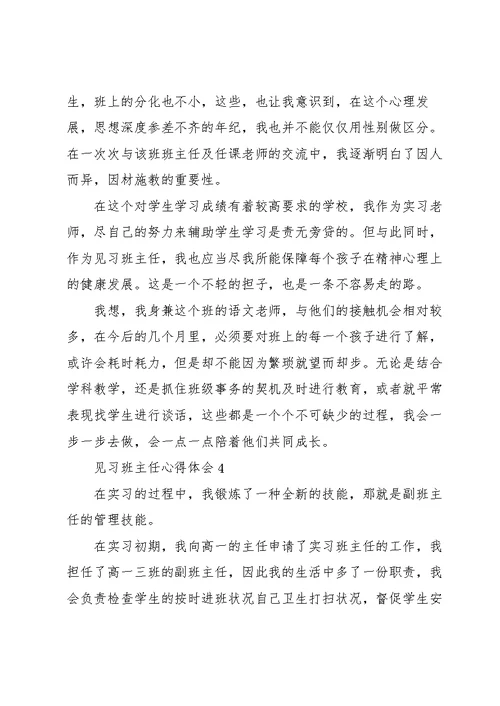 见习班主任的心得体会五篇