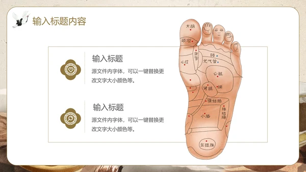 针炙足底反射区中医养生馆PPT模板
