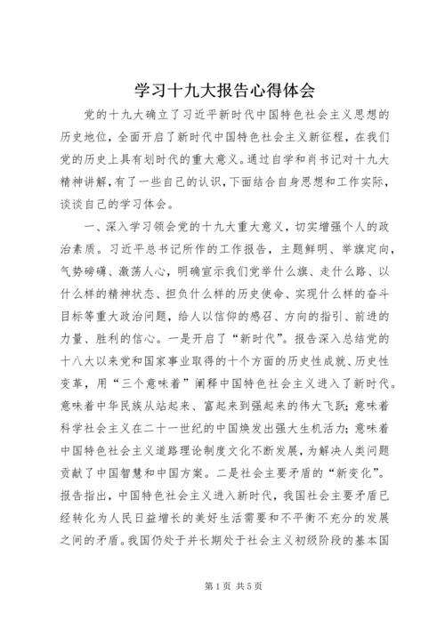 学习十九大报告心得体会_2 (4).docx