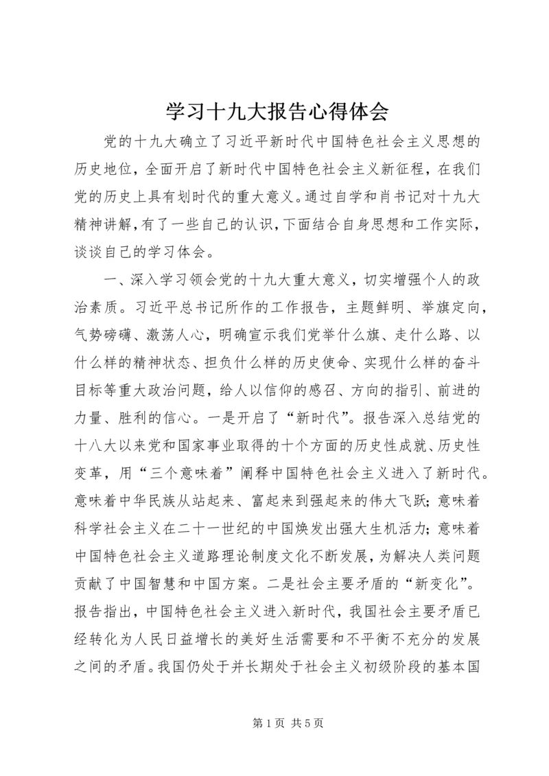 学习十九大报告心得体会_2 (4).docx