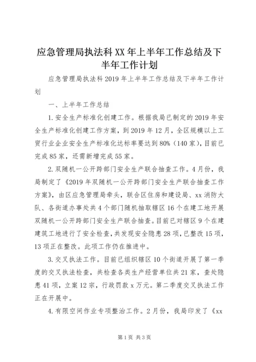 应急管理局执法科XX年上半年工作总结及下半年工作计划 (2).docx