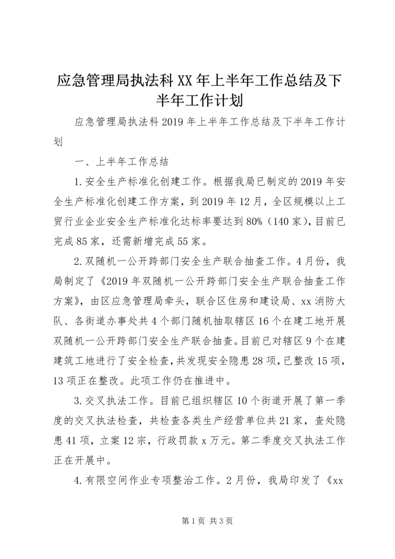 应急管理局执法科XX年上半年工作总结及下半年工作计划 (2).docx