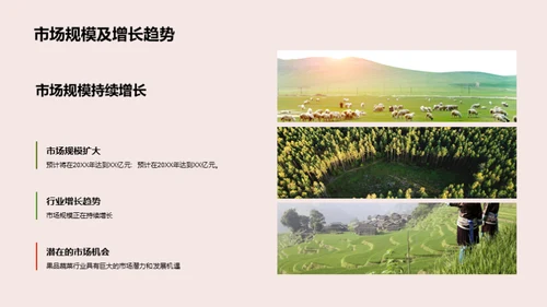 果蔬产业新篇章