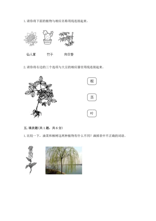 教科版科学一年级上册第一单元《植物》测试卷精品【夺冠】.docx