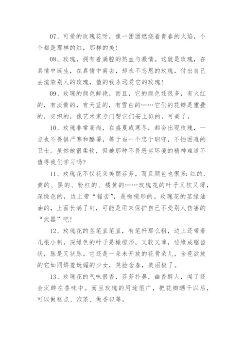 描写玫瑰花的好句好段有哪些.docx