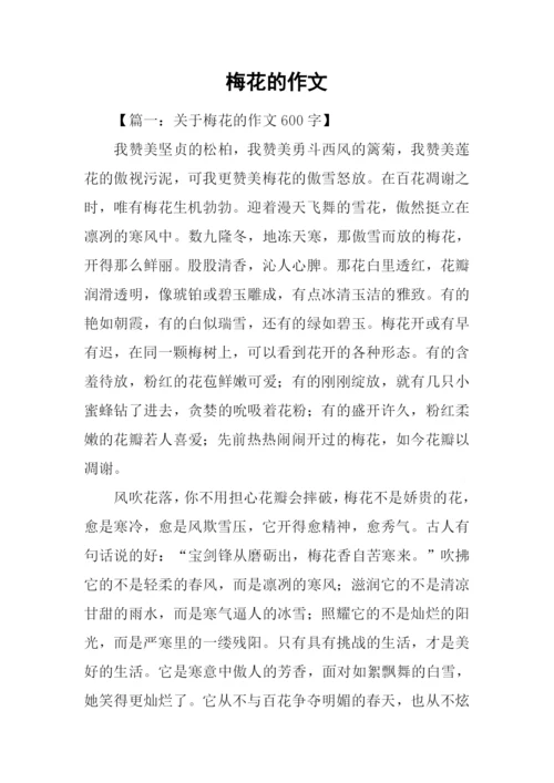 梅花的作文-10.docx