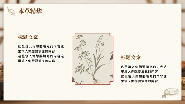 棕色实景简约风中医药传统文化科普介绍PPT模板