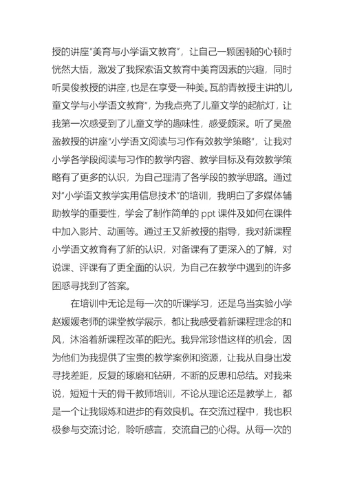 中小学语文骨干教师培训总结