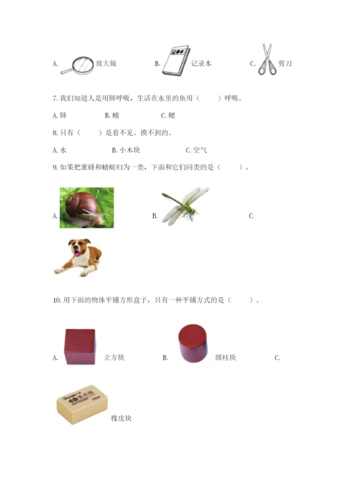 教科版一年级下册科学期末测试卷及参考答案（夺分金卷）.docx