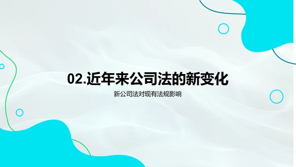 公司法解读报告