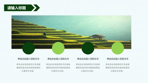 振兴乡村方案PPT模板