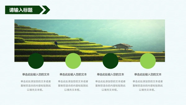 振兴乡村方案PPT模板