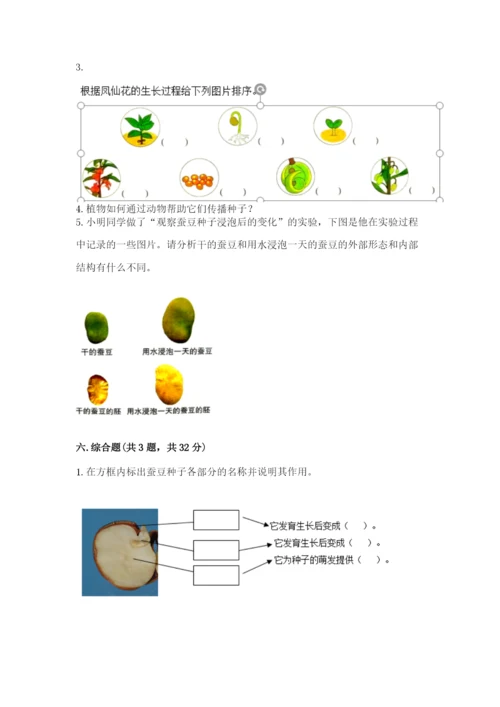 教科版科学四年级下册第一单元《植物的生长变化》测试卷精品（预热题）.docx