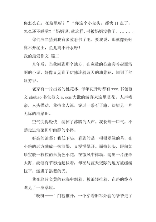 我最爱的人作文精彩5篇