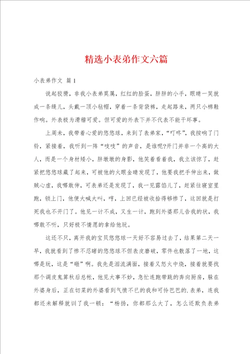 精选小表弟作文六篇