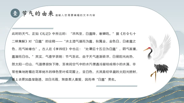 白露节气宣传白鹤通用PPT模板