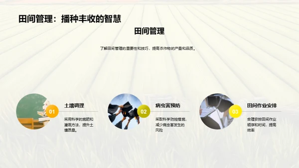 农学实践技能提升