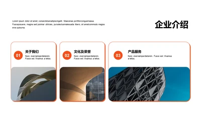 单色扁平3项企业介绍
