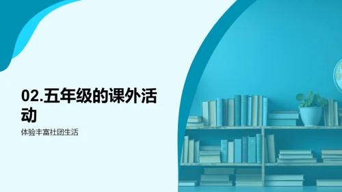 五年级的学习旅程