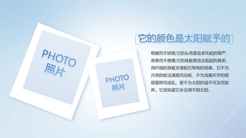 蓝色化妆品面膜年度工作计划动态PPT